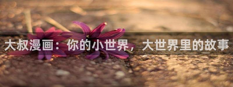 新闻图片